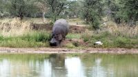 Namibia - Mount Etjo Safari Lodge