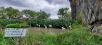 Namibia - Mount Etjo Safari Lodge