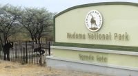 Namibia - Mudumu Nationalpark am Kwando