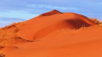 Namibia - Namib Wüste