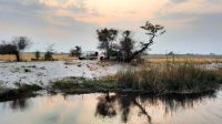 Namibia - Namushasha Lodge am Kwando -  Sonnenuntergang