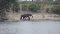 Namibia - Ndhovu Lodge - Frühstück mit Elefanten