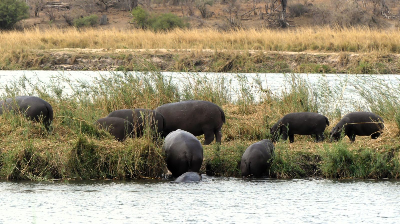 Namibia - Ndhovu Lodge am Okavango