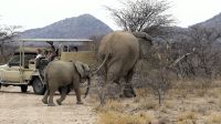 Namibia - Okonjati Wildreservat - Pirschfahrt