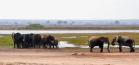 Namibia - Pirsch im Mahango Park