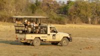 Namibia - Pirschfahrt im Buffalo Game Reserve