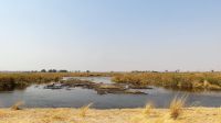 Namibia - Pirschfahrt im Bwabwata Nationalpark 