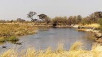 Namibia - Pirschfahrt im Bwabwata Nationalpark 