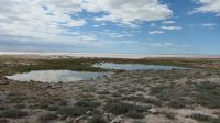 Namibia - Pirschfahrt im Etosha