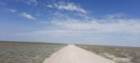 Namibia - Pirschfahrt im Etosha