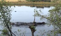 Namibia - Pirschfahrt im Mudumu Nationalpark am Kwando