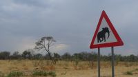 Namibia - Pirschfahrt im Mudumu Nationalpark