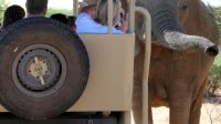 Namibia - Pirschfahrt im Okonjati-Wildreservat