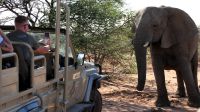 Namibia - Pirschfahrt im Okonjati-Wildreservat