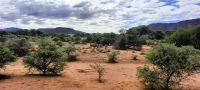 Namibia - Pirschfahrt im Okonjati-Wildreservat