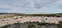 Namibia - Pirschfahrt im grünen Etosha - Etosha Pfanne