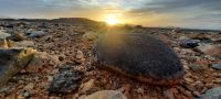 Namibia - Sonnenaufgang in der Namib