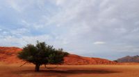 Namibia - Sundowner in der Namib Wüste