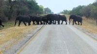 Namibia - Transit durch den Bwabwata-Korridor