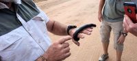 Namibia - Weiterfahrt zum Etosha
