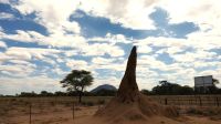 Namibia - auf zum Mount Etjo