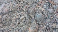 Namibia - kleine Wanderung mit Darius