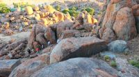 Namibia - kleine Wanderung mit Darius