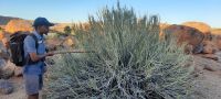 Namibia - kleine Wanderung mit Darius