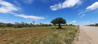 Namibia - unterwegs zum Etosha