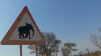 Namibia - unterwegs zum Kwando