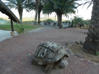 Namibia, Aj-Aiba Lodge
