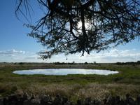 Namibia, Etoscha NP, Wasserloch im Camp