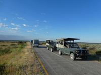 Namibia, Etoscha NP