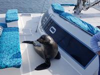 Namibia, Walvis Bay