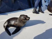 Namibia, Walvis Bay