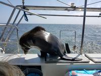 Namibia, Walvis Bay