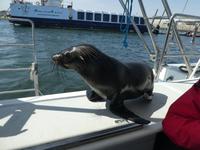 Namibia, Walvis Bay