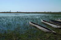 Okavango Delta - mit Mokoros unterwegs