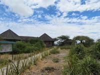 Olduvai-Schlucht
