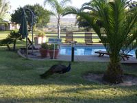 Omashare Hotel