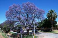 Otjiwarongo - Bahnhof