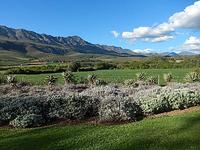 Oudtshoorn