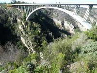P1040553