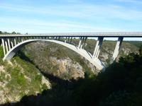 P1170607