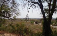Picknick am Kwando