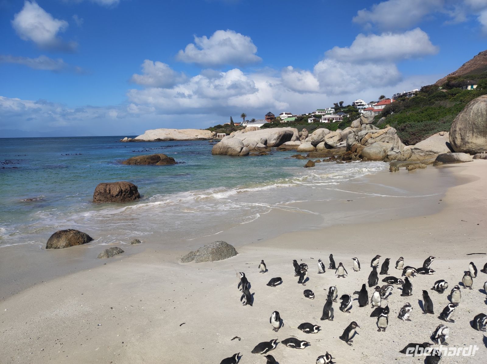 Pinguinkolonie Boulder Beach - Kapstadt (Südafrika)