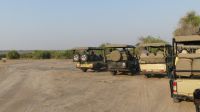 Pirschfahrt im Chobe NP - Meeting?