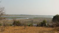 Pirschfahrt im Chobe NP