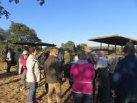 Pirschfahrt im Chobe Nationalpark - Kaffee- und Teepause