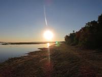Pirschfahrt im Chobe Nationalpark -